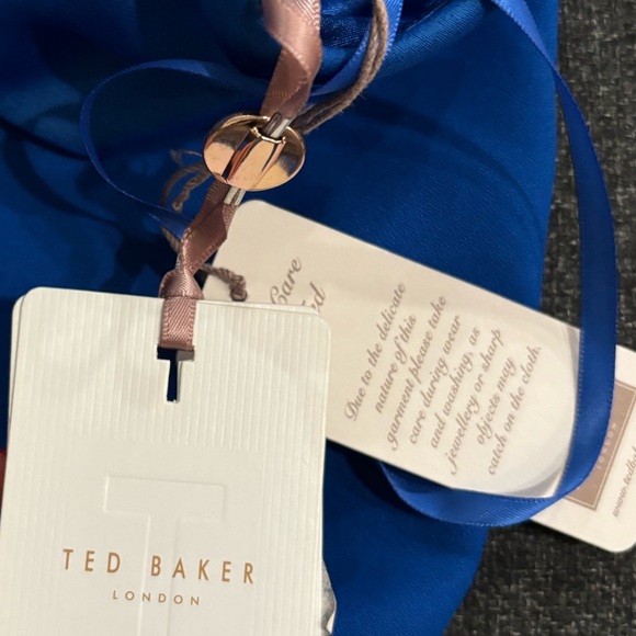 Stunning blue new with tags ted baker dress (size 6) - Picture 2 of 3